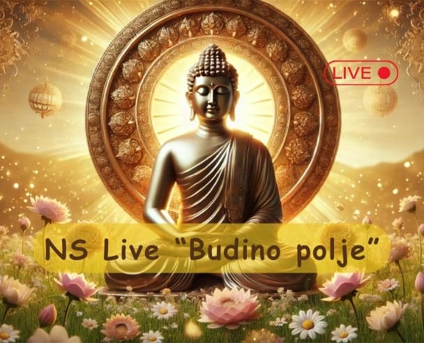 NS Live Web “Budino polje” – 02.11.2024.