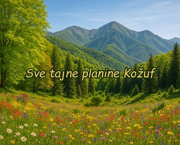 Live web “Sve tajne planine Kožuf” – 16.04.2025.