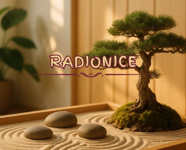 Radionice
