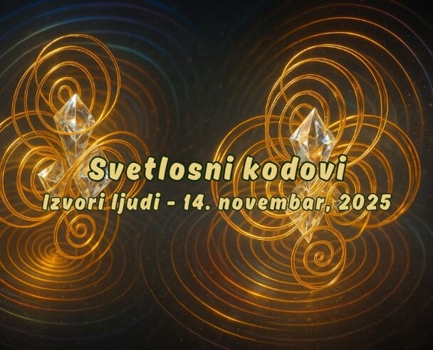 NS Live “Svetlosni kodovi” – 14.11.2025. (Free – Izvori ljudi)